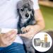 Buy Savita 4-Piece Replacement Heads for Dog Claw Grinders | Professional Dog Nail Grinding Tool - Buy Online on GoSupps.com