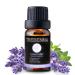Pure Lavender Oil Essential Oil for Diffuser Premium Therapeutic Grade Skin Care Hair Growth Aromatherapy Massage Ease Stress Relaxation Improve Sleep 10mL