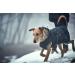 HUNTER Uppsala Softshell Dog Coat 30 | Functional Black Dog Jacket for All Weather - International Shipping Available - Buy Online on GoSupps.com