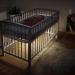 Maxi-Cosi Glow Crib Light with Smart Motion Detection - App Controlled, Easy Installation | Compatible with Alexa and Google Assistant - Buy Online on GoSupps.com