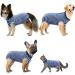 Hipet Recovery Suit for Dogs & Cats | Post-Op Wound Protection | Prevent Licking & Skin Issues | E-Collar Alternative | Size L Blue Striped - Buy Online on GoSupps.com