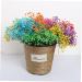 2pcs Plant Decor Gifts Dried Flowers The Gift Dried Flower Decor Creative Preserved Flower Preserved Flower Decor Romantic Preserved Flower Artificial Gypsophila Bluex2pcs 60X20cmx2pcs - Buy Online on GoSupps.com