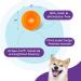 Outward Hound Planet Dog Orbee-Tuff Snoop - Interactive Snack Ball Toy for Dogs - Large Orange - Ideal for International Shipping - Buy Online on GoSupps.com