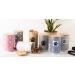 Bone Dry Ceramic Pet Collection Gray Canister - Stylish and Functional Pet Food Storage - Buy Online on GoSupps.com