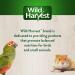 Wild Harvest Bird Seed Collection | Premium Daily Blends for Parakeets, Canaries, Finch & More - Buy Online on GoSupps.com