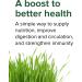 Vibrant Health Green Vibrance Vegan Superfood Powder 60 Servings - Frustration-Free Packaging - Buy Online on GoSupps.com