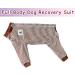 Shop Axcimond Dog Body with Legs - Full Body Leak Protection for Large & Medium Dogs | Post-Surgery Recovery Suit with Zipper | 3XL Coffee - Buy Online on GoSupps.com
