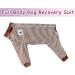 Axcimond Full Body Dog Onesie After Surgery Female Dog Surgery Recovery Suit Male Dog PJS Shedding Suit Dog Surgical Recovery Suit Operation Recovery Dog Onesie for Large Medium Dog Cone Alternatives 7XL Coffee - Buy Online on GoSupps.com