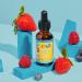 MaryRuth Organics Cocomelon Toddler Liquid Zinc | Sugar Free Organic Zinc Supplement for Ages 1-3 | Immune Support | Vegan & Non-GMO | Gluten Free | 1 Fl Oz - Buy Online on GoSupps.com