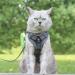 QKTYB Cat Dishes & Leash Set - Retractable Dog Leash & Cat Dishes for Kittens & Dogs (M Gray) - Perfect for Travel & Outdoor Adventures - Buy Online on GoSupps.com