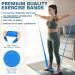 Resistance Bands Exercise Bands for Working Out Physical Therapy Stretch Recovery Pilates Rehab and Yoga Silicone Exercise Bands Resistance with Different Strengths for Full-Body Workouts - Buy Online on GoSupps.com