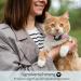 Premium XS Pink Airtag Cat Neck Band - Soft GPS Collar with Bracket & Bell for Young Cats - Buy Online on GoSupps.com