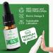 5% Hemp Oil for Dogs and Cats - Hemp Oil for Animal Care - German Quality - 10 ML - 250 Drops - Balance Between Omega-3 and Omega-6 - Buy Online on GoSupps.com