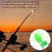 HLOGREE LED Night Fishing Rod Bait Alarm Bell 30pcs/40pcs | Portable Fishing Indicator with Dual Ring Bells | Fishing Accessories with 10 Red, 10 Green, and 10 Blue Lights - Buy Online on GoSupps.com