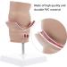 Iplusmile Pathological Hemorrhoid Medical Model - Teaching Aid for Medical Education - Buy Online on GoSupps.com