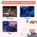 Molain Coral Feeder 2 Pcs Acrylic Marine Fish Reef Feeding Tube 13.7 Inch Coral Food Tool for Reef/Anemones/Brine Shrimp Most Aquarium Organisms (Blue+Red) - Buy Online on GoSupps.com
