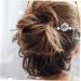 PLAFOPE Antique Hairpin Hair Accessories Hair Stick Chopsticks Hair Claw Clips Decorative Hair Chopstick Hair Bun Accessories Hair Bun Stick Hair Bun Holder Girl Hair Chopstick Zinc Alloy - Buy Online on GoSupps.com