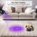 UV Black Light 51 LEDs Flashlight - Mini UV Detector for Pet Urine Scorpion and Fake Banknotes - 395nm Ultraviolet Torch - Buy Online on GoSupps.com