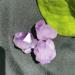 Specimen Healed Natural Amethyst Raw Quartz Small Cluster Reiki Stone Crystal Point Specimen Home Decor Raw Crystals As a Gift (Color : 1pc Weight 3-8g Size : 200g) 200g 1pc Weight 3-8g