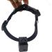 Pet Collar Camera DVR with 16GB TF Card - Black | Monitor & Record Your Dog's Adventures - Buy Online on GoSupps.com