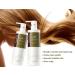 Argan Oil Herbal Essence Deep Restoring Conditioner - 500ml (16.9oz) for Dry & Damaged Hair - Buy Online on GoSupps.com