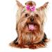 24PCS Small Dogs Hair Bows with Rhinestone - Puppy Grooming Accessories for Female Pets - Buy Online on GoSupps.com