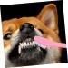 CORHAD 12pcs Double Head Dog Toothbrush Dog Finger Toothbrush Dog Toothbrush Toothpaste Dog Tooth Care Pp - Buy Online on GoSupps.com