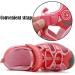 DADAWEN Kids Outdoor Water Sandals - Breathable Closed-Toe Athletic Shoes, Hot Pink (Size 3 Little Kid) - Buy Online on GoSupps.com