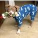Pit Bull Pajamas: Cow Moon Star Print Jumpsuit for Large Dogs - X-Large - Buy Online on GoSupps.com