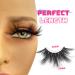SWINGINGHAIR 3 Pairs 25mm Long 3D Mink Lashes | Dramatic and Soft Wispy False Eyelashes for Makeup and Cosplay - Buy Online on GoSupps.com