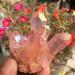 Rare Beautiful Rose Flame Aura Quartz Crystal Cluster Specimen 60-70 Reiki Stone ERTEYIN - Buy Online on GoSupps.com