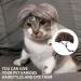 1 Piece Pet Wig Dog and Cat Cosplay Wig Christmas Dog Wig Large and Small Dog Wig Pet Wig with Bangs Suitable for Artistic Photos and Holiday Parties (Brown) - Buy Online on GoSupps.com