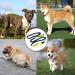 QitinDasen Grey Hands Free Dog Leash Adjustable Waist Belt and Dual-Handle Retractable Bungee Leash Jogging Dog Leash with Reflective Stitching (Green Handle) - Buy Online on GoSupps.com