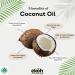 EKOH Organic Coconut Body Soap Bar - Vegan All-Natural Face & Body Wash - Eco-Friendly Ginger Lime Soap Made in New Zealand - 200g for All Skin Types - Buy Online on GoSupps.com