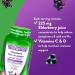 Vitafusion Elderberry Gummy Supplements 225mg Zinc/day 60 Count - Buy Online on GoSupps.com