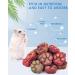 Bissap 20PCS Bunny Chew Toys - Natural Timothy Hay Rose Carrot Fruit Chinchillas Chewing Treats for Rabbits, Guinea Pigs, Hamsters - Small Animal Molar Snacks - Buy Online on GoSupps.com
