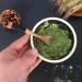 50g-500g Th vert Matcha Tisane Chine Th parfum original Bon th Naturel Organique Th aux fleurs parfum es Aliments verts sans additifs Tisane (500g) - Buy Online on GoSupps.com