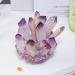 Natural Crystal Rough Natural Amethyst Crystal Geode Amethyst Cluster Point Druzy Reiki Specimen Amethyst Raw Rock Crystal Stone Collection Decor Gift 700-800g AGBLKLCME (Size : 700-800g) - Buy Online on GoSupps.com