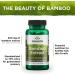 Swanson Bamboo Extract 300mg - Hair, Nails, Collagen Support - 60 Veggie Capsules - Buy Online on GoSupps.com