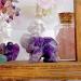 Amethyst Elephant Crystals Luck Decor Guardian Figurine - 1.5 Inch Purple Amethyst Statue for Office, Desk, and Meditation - Buy Online on GoSupps.com