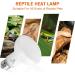 REPTI HOME Reptile Heat Lamp Bulbs 2 Pack 100W Heat Lamp for Reptiles E27 Basking Light Bulb for Vivarium Turtle Lizard Tortoise Bearded Dragon Puppy Chick - Buy Online on GoSupps.com