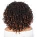 Afro Curly Wig with Bangs - Dark Brown Shoulder Length Synthetic Kinky Curly Wig for Black Women - Buy Online on GoSupps.com