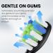 Replacement Brush Heads 10 Pack for AquaSonic Electric Toothbrushes - Compatible with Black Series Vibe Series & Duo Series Pro - Buy Online on GoSupps.com
