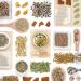 Buddha Teas Organic Fennel Seed Tea - USDA & OU Kosher, 18 Bleach-Free Bags - Buy Online on GoSupps.com