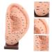 Solustre Ear Massage Model - Natural Size Human Ear Acupoint Tool with Base - Buy Online on GoSupps.com
