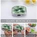 Transparent Palm Leaf Pill Box - 2 Compartment Medicine Organizer | Portable & Decorative Pill Case for Travel - Buy Online on GoSupps.com