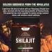 Detox Organics Shilajit Gummies - Authentic Shilajit Blend with Himalayan Ashwagandha & Sweetened Organic Manuka Honey - Crafted for Vitality & Immune Support - Glyphosate-Free - 60 Count - Buy Online on GoSupps.com