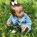 12 PCS 3 Hair Bow Clips Grosgrain Ribbon Solid Color Alligator Clips for Girls - White - Buy Online on GoSupps.com