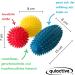 Quiactive Hedgehog Ball Set of 3 - Massage Balls for Back Legs Feet & Hands - Includes Bag Instructions & Air Pump - Perfect for Fascia Release | International Shipping - Buy Online on GoSupps.com