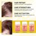 EXQST Suki-Bay Rice Water Advanced Serum Rice Water Hair Serum Hair Oil for Dry Damaged Hair and Growth - Buy Online on GoSupps.com